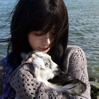 永远不要对熊猫说不